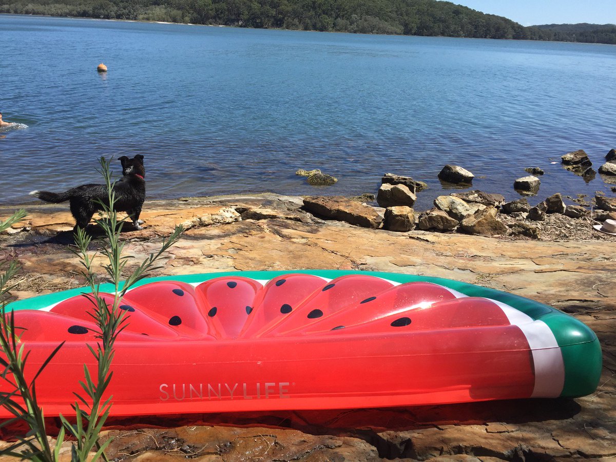 kmacca6060's tweet photo. Setting Sail #day2 #inflatables #modestyshirt #crackingday #Watermeloncraft (@ Smith's Lake) https://t.co/TLuwr5673R https://t.co/DqIpM43b4Z