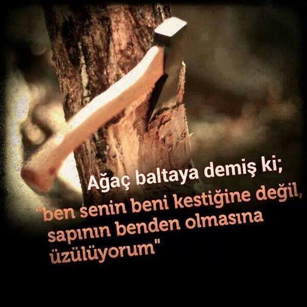 Günaydın favı alırım bi dal