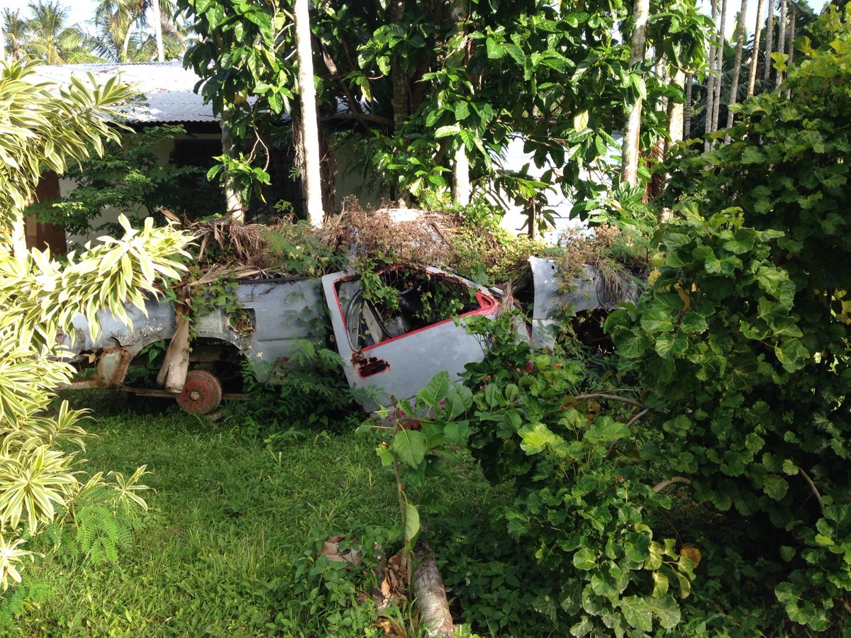 CaptSarahBellum's tweet photo. That #car is going nowhere! #saipan #visitsaipan #CNMI #junglecar #yardart #reclaimedbynature https://t.co/opMVRpdWwe
