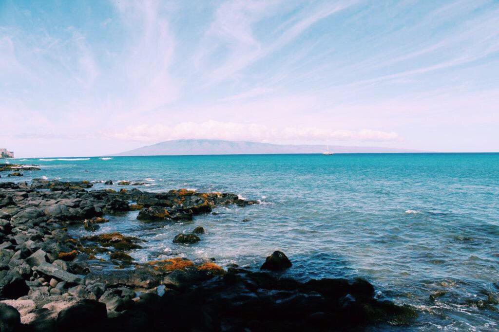 beach_sekai's tweet photo. Maui, Hawaii 🌴😍
#行ってみたい #バカンス https://t.co/Qo9H4e4wBn