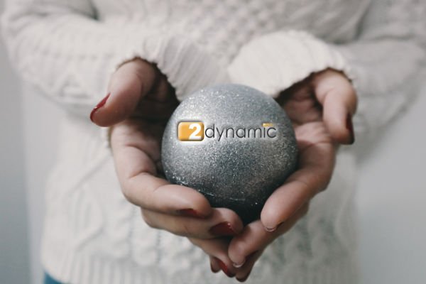 twodynamic's tweet image. Fijne feestdagen
en een succesvol en gezond 2017! #happyholidays