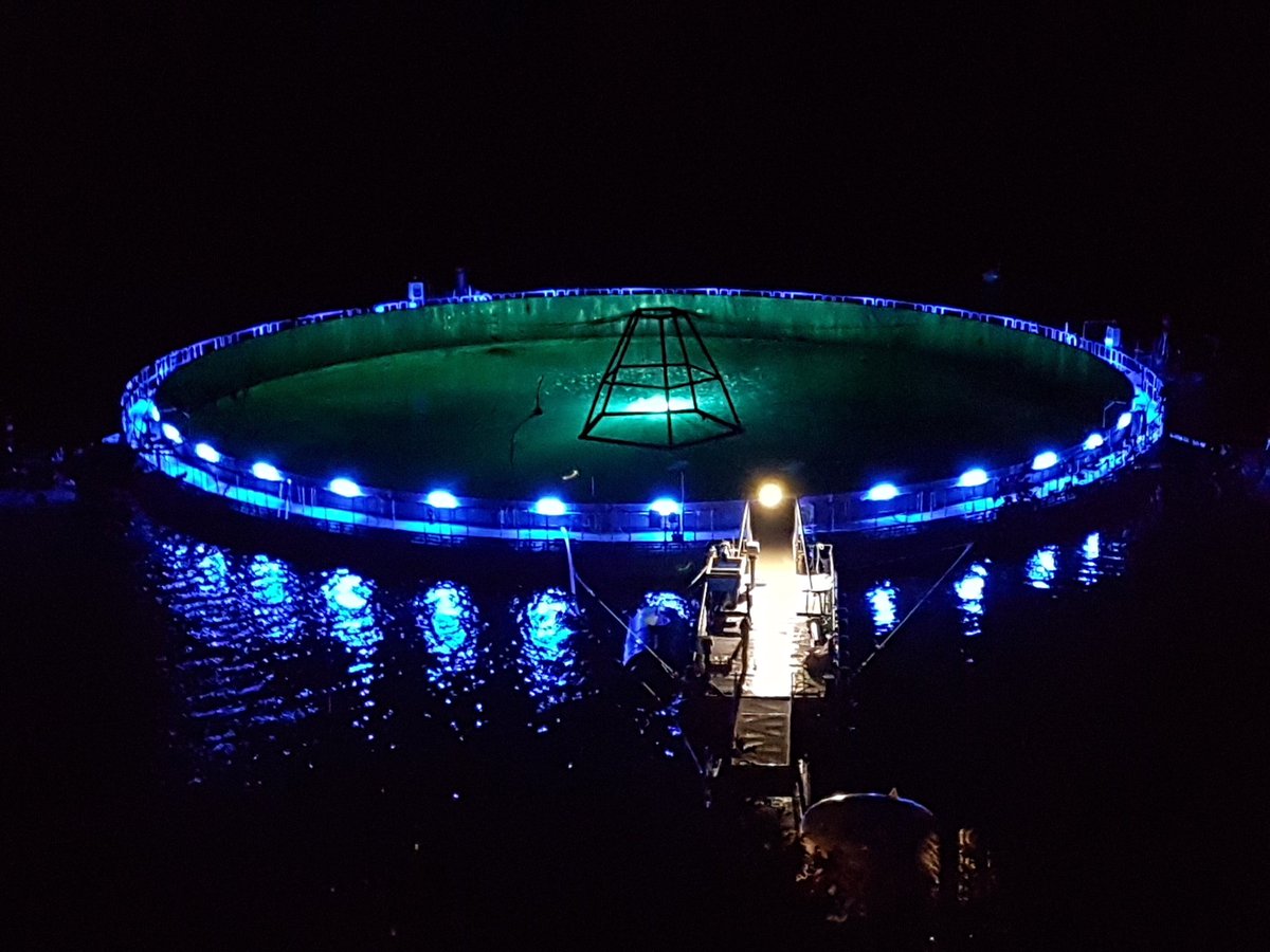 En riktig God Jul til alle våre følgere🎄