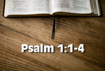 Psalm 1:1-4 is the S.W.E.E.T. '16 verse for the week of December 25-31!
mybridgeradio.net/sweet16/week-5…