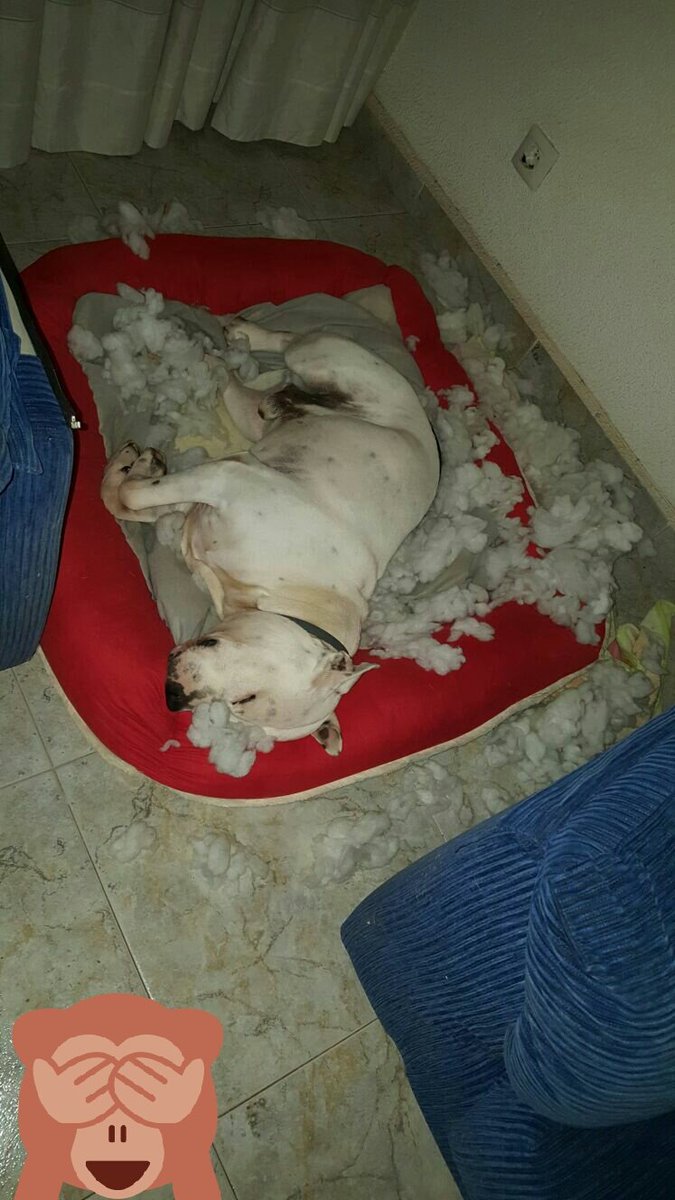 ivan_serri's tweet photo. Antes y después https://t.co/YcPRbmB4B9