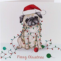 50% OFF SALE on Christmas Cards, Gifts &amp; other Selected Items starts Wednesday 28th Dec at <a href="/OxfamMuswellHil/">OxfamMuswellHill</a>