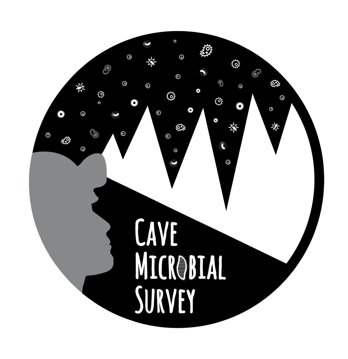 CMS is a survey program carried out to promote an information network about microbial activity in natural and artificial cavities.