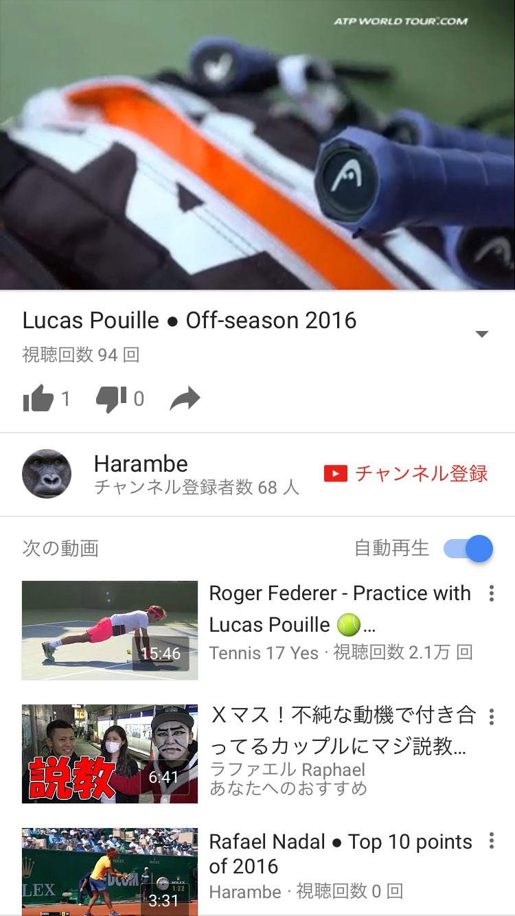 バグダティスbot 手動 悲報 プイユ ラケットをプリンスからヘッドへ トップ50のうち プリンスユーザーはイズナー1人に