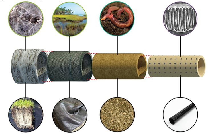 Biomimicry from the Ground Up | Landscape Architecture Magazine | buff.ly/2gui8hB