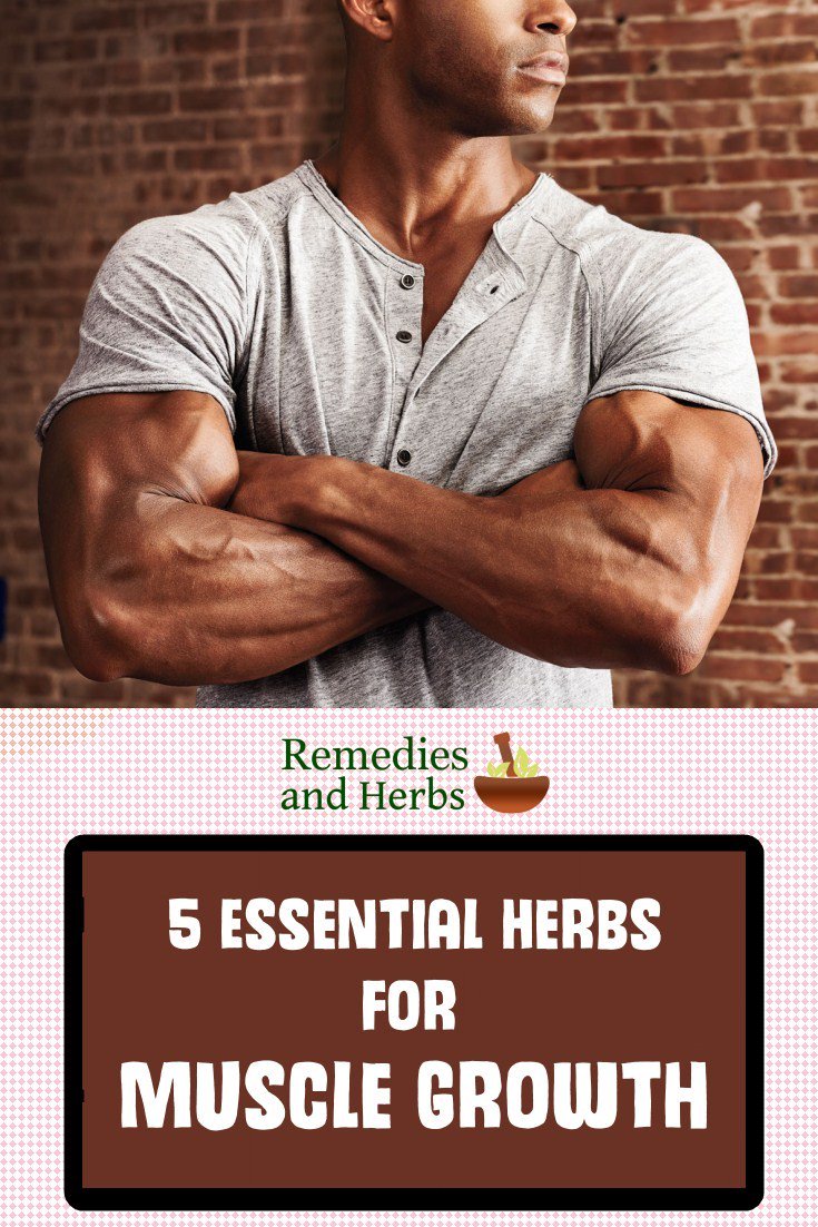 remedylifestyle's tweet photo. 5 Essential Herbs for Muscle Growth
https://t.co/NerjnbKQ2T
#essentialherbs #musclegrowth https://t.co/MAAIFdgzCE