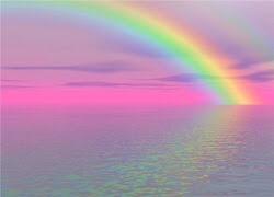 uttoti_view tweet picture
