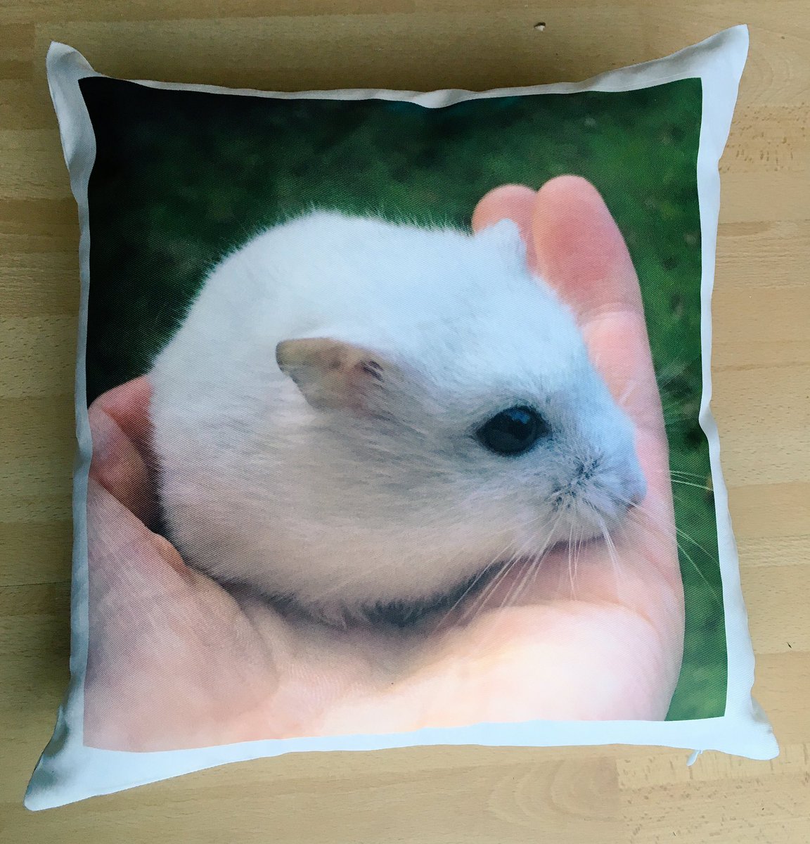 mscoffeecatt's tweet photo. Best Christmas present ever! ❤️️#SoKawaii #TinyHamster https://t.co/SBZtsMpL3b