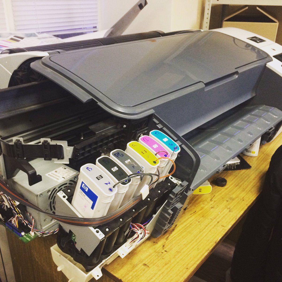 Allprint tweet media