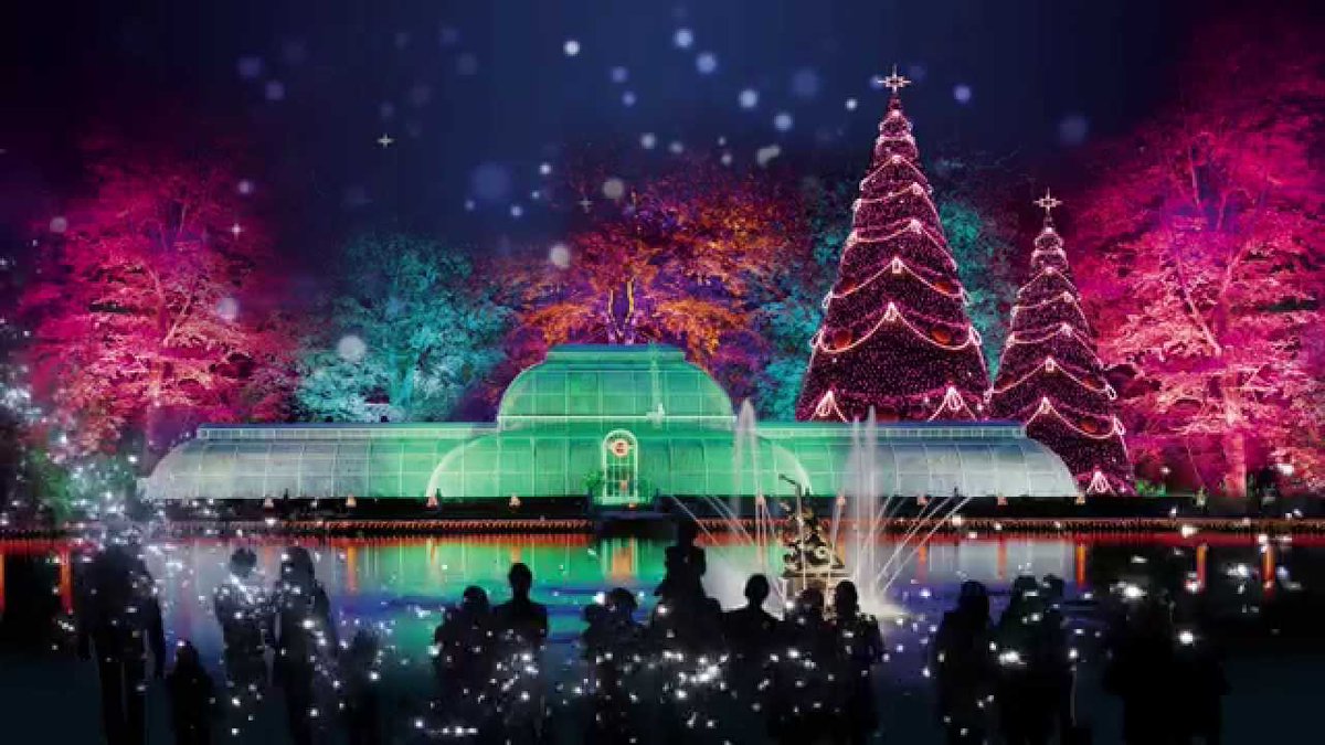 In #London?! Looking for something #festive to do with the family? Head to <a href="/kewgardens/">KewGardens</a> to see their mile-long 🌟seasonal illuminations!🌟