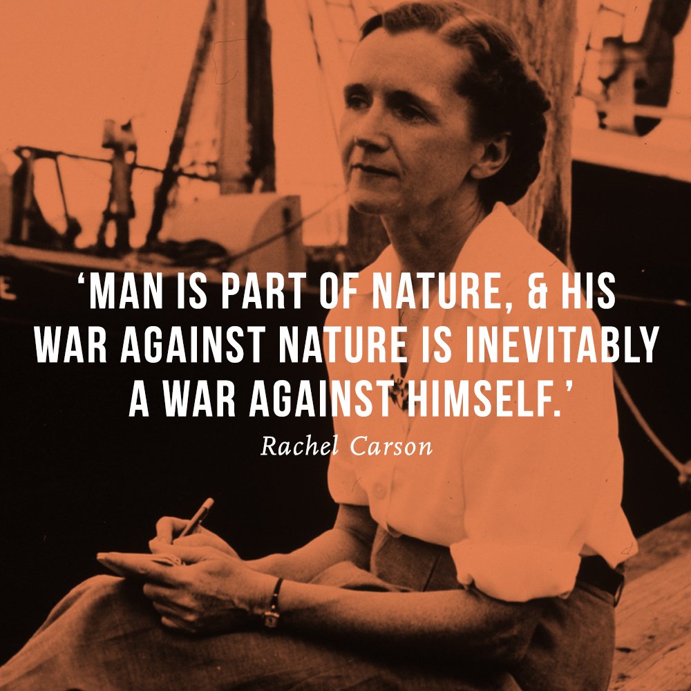 TheSchoolOfLife's tweet photo. 'Man is part of nature and his war against nature is inevitably a war against himself.' - Rachel Carson https://t.co/9Aa0fnLa7U
