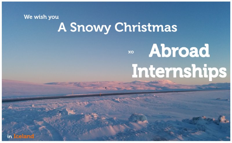 AbroadInterns's tweet photo. And if the weather's sad like today's Dutch weather, please know you can always go to #Iceland. Or look at this photo. #Christmas https://t.co/2lABvbdH73
