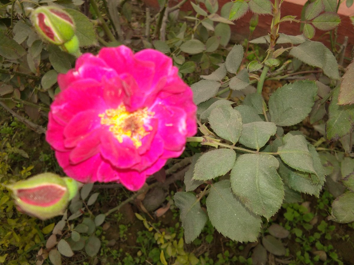 advtanweervns's tweet photo. Politics divides.
Nature unites.
Love nature. https://t.co/QfoJ4AJaba