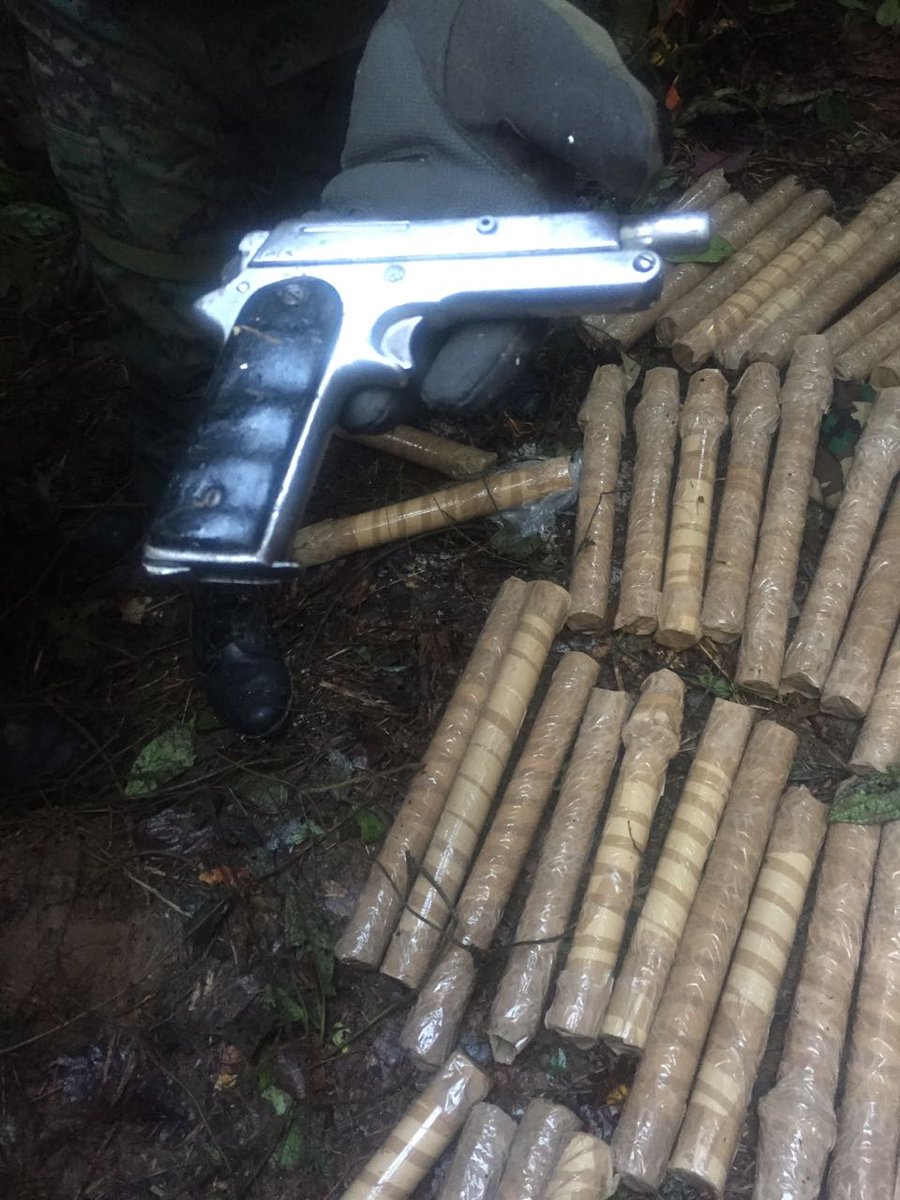 El Pentágono señala que la capacidad militar china hace que EE.UU. sea más  vulnerable | Euronews, image size:900x1200