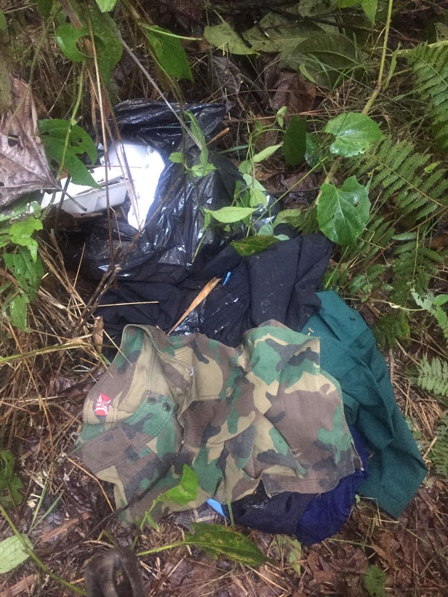 Trump prepara una operación militar secreta en México para atacar a los  cárteles de la droga | Euronews, image size:900x1200