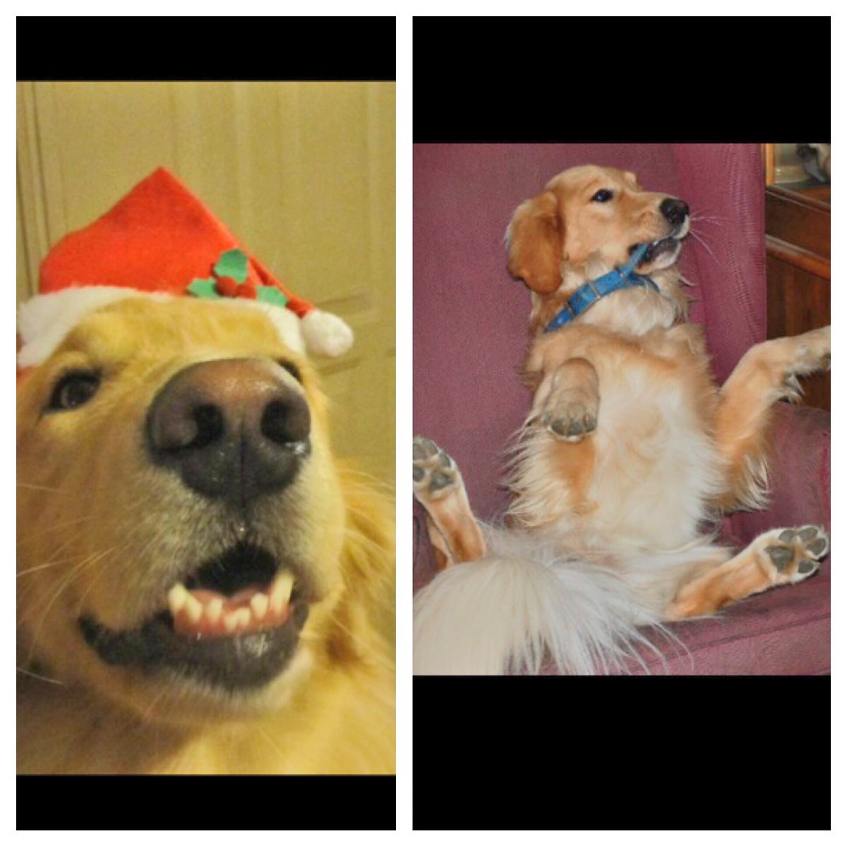 kimahan's tweet photo. When you wake up one morning and it's #Christmas but the next morning it's not Christmas anymore. https://t.co/XsT4XB21TY