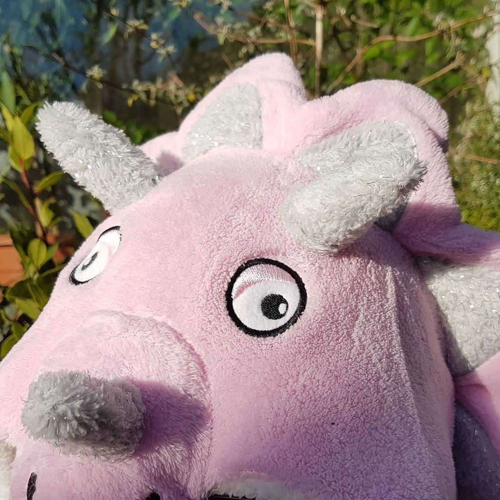 Yamapama's tweet photo. De @Hihiwiwi zit buiten naast me in haar dino-onsie. #Kerstmis #Tuintweet #HelloGlobalWarming https://t.co/lpphWYzU0d