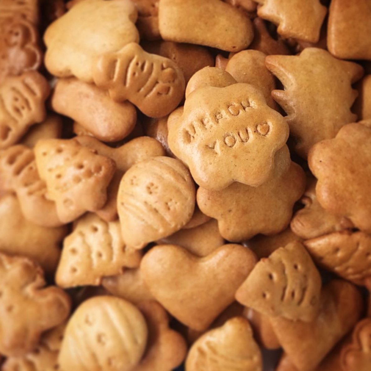 MERCHYOU's tweet photo. Sweet days off... Our production manager misses work so much he had to make these! #cookies #screenprinting #merch #merchandise #sustainable https://t.co/kQX2LmGdAe