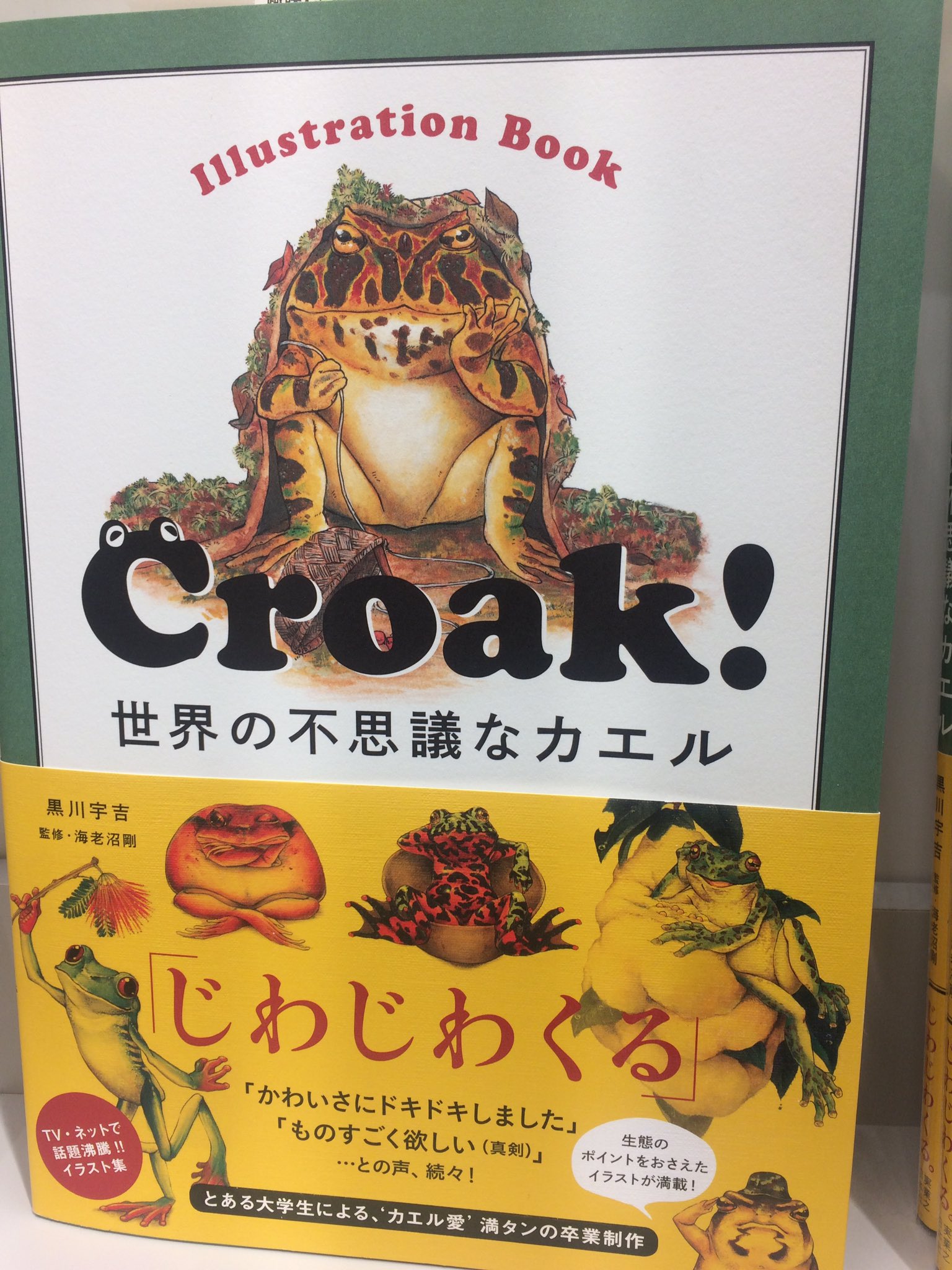 三省堂書店池袋本店 Croak 世界の不思議なカエル パネル展示中です 帯の真ん中にいる毒々しい赤い腹をだしてるカエル 食えるもんなら食ってみろ と敵に襲われたら腹を見せるようにひっくり返るそうです すごい進化 そんな豆知識とイラスト満載