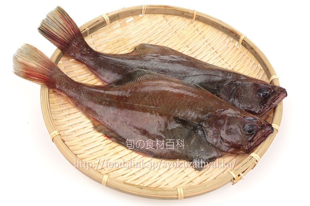 旬の食材百科ーフーズリンク 更新 アカガレイ 赤カレイ 今が旬の魚の一つで 煮つけ用などとして半分に切られ 子持ちのものがスーパーなどにも並んでいるのをよく見かけます 煮つけはもちろん から揚げや塩焼きも美味しいです 食材百科に写真と解説
