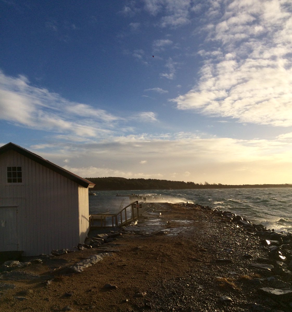 Seaserpent_se's tweet photo. #BreviksFiskehamn #Sydkoster #Kosterhavet #Urd https://t.co/80DGiNAPjy