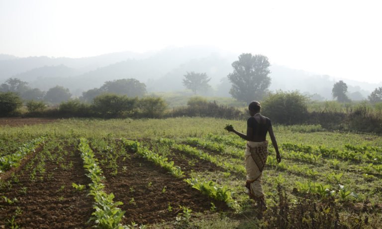 foodtank's tweet photo. "Organic farming for me is a way of farming in a responsible manner, where a farmer cares for mother earth." https://t.co/ZgAeyl810E https://t.co/MTJIOhHXSx