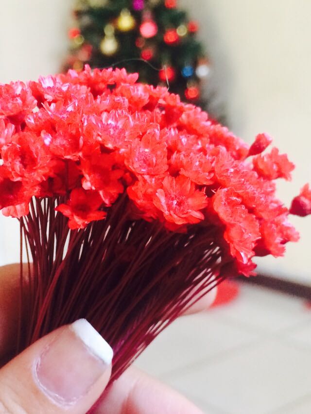 MariaDflopes tweet picture