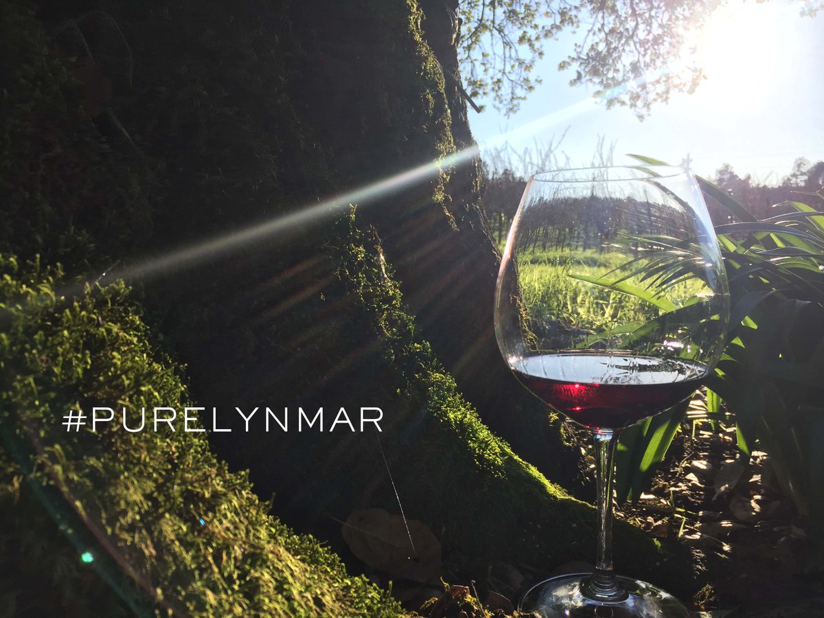 lynmarestate's tweet photo. Quail Hill Vineyard hides many secret spots waiting to be discovered. #PureLynmar https://t.co/i2WBHaKGjy