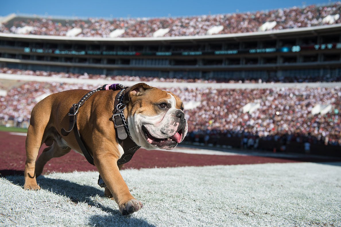 With just over an hour until kickoff, @msubullysmom and Jak are ready go: bit.ly/2iwukQq  #HailState #ReadAlumnus