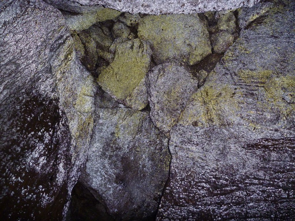 You can find the form by clicking on the link below:
docs.google.com/forms/d/e/1FAI…