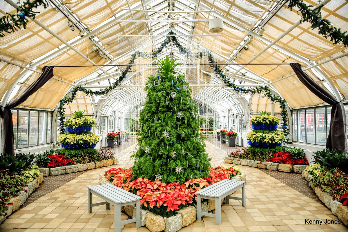 FPConservatory's tweet image. One week left to view #MerryandBright. Last day is January 1, 2017: bit.ly/2gmPHUl