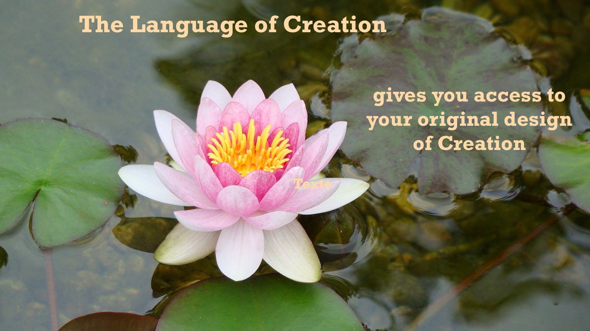Neytirigalad33's tweet photo. The #LanguageofCreation gives you access to your original design of #Creation check here! https://t.co/DIUqAtVP6O https://t.co/YffDyc06p6