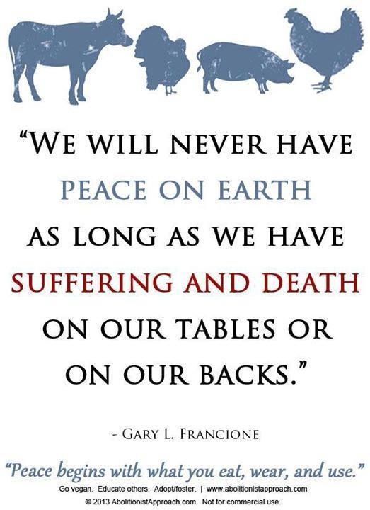 melistraub's tweet photo. #PeaceOnEarth Starts on your Plate #GoVegan
#Christmas
#HappyHolidays
#HappyHanukkah
#SantaTracker
#TheBestGiftIs
#ItsAWonderfulLife
#Vegan https://t.co/JgyStNXpyQ