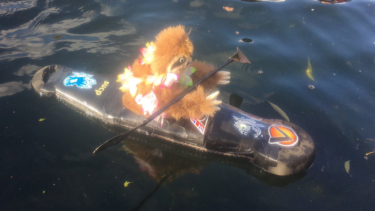 Since <a href="/RevengePolo/">Revenge Polo Kayaks</a> and <a href="/PyranhaKayaks/">Pyranha Kayaks</a> sent us so many stickers for Caesar's boat, We'll have a Christmas giveaway! Hit the Facebook for how!