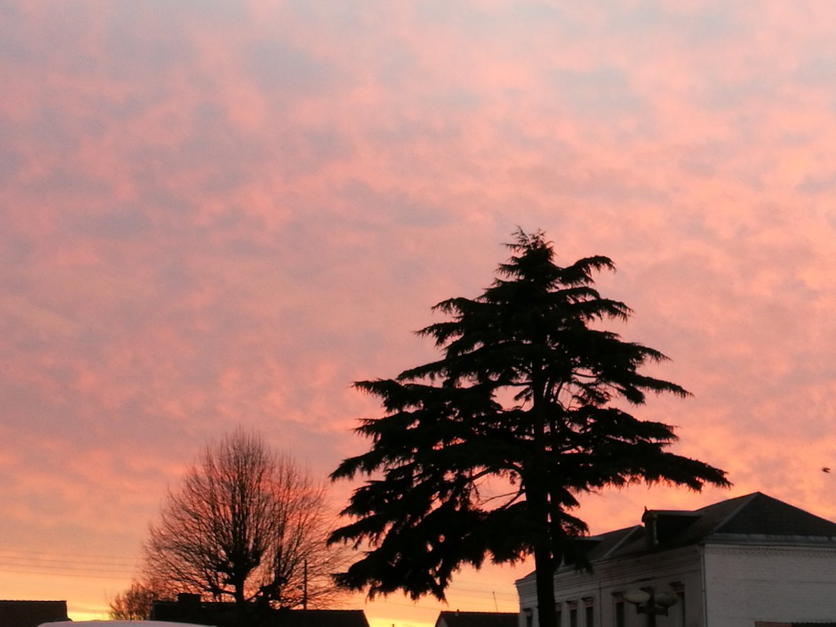 MilaSaintAnne's tweet photo. #Sol_Invictus #Rouen #Cadeau. https://t.co/QpMTd9Xt9o