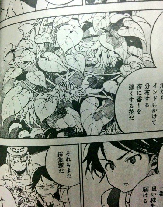 アルボスアニマ を含むマンガ一覧 いいね順 2ページ ツイコミ 仮 アルボスアニマ を含むマンガ一覧 いいね順 2ページ ツイコミ 仮