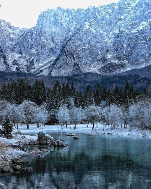 Silviadomi22G's tweet photo. @vilaandrea24 @TabletWallpaper @VanessaNut20202 @ROLY_LEGEND @SimplesmenteSyl 
#TMPLUZ https://t.co/I78Igo0jKG