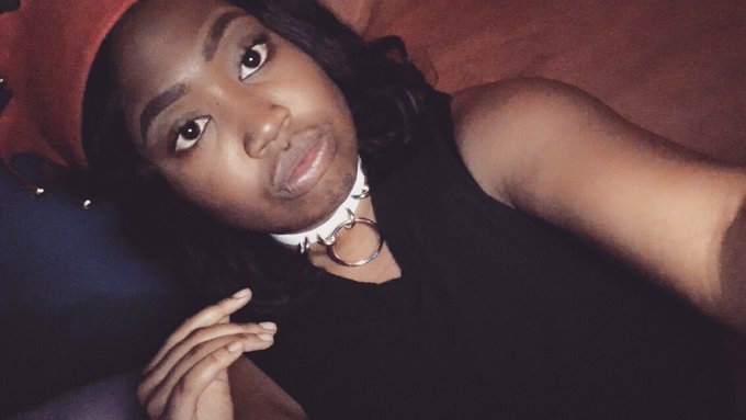 when your collar matches anything 😉 https://t.co/HOyRc6jPau<a href="/tag/newprofilepic"class="tags"><span>#newprofilepic</span></a>