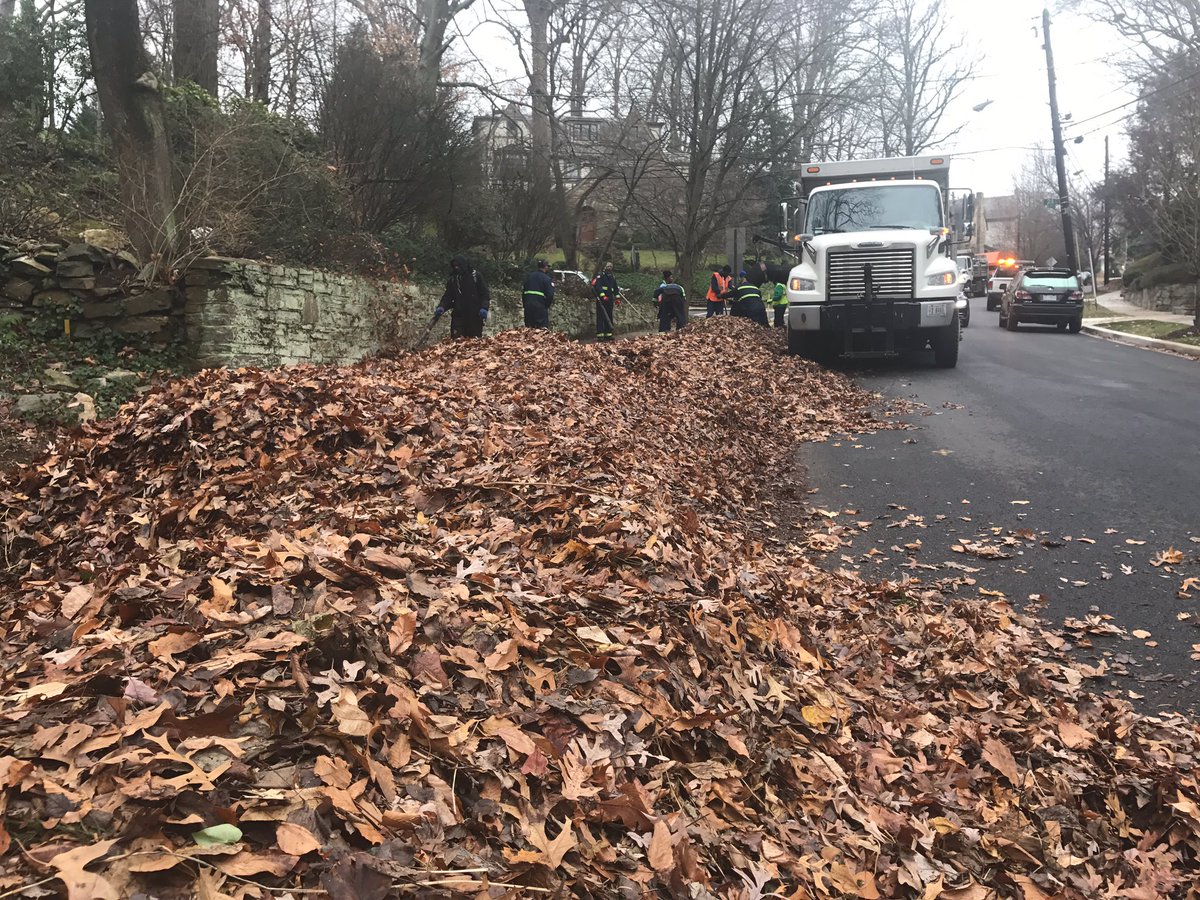 CamWash59's tweet photo. 2700 Brandywine Street NW Leaf Season is serious in Ward 3 🙈🍁🍃 https://t.co/tuFl7VzArB