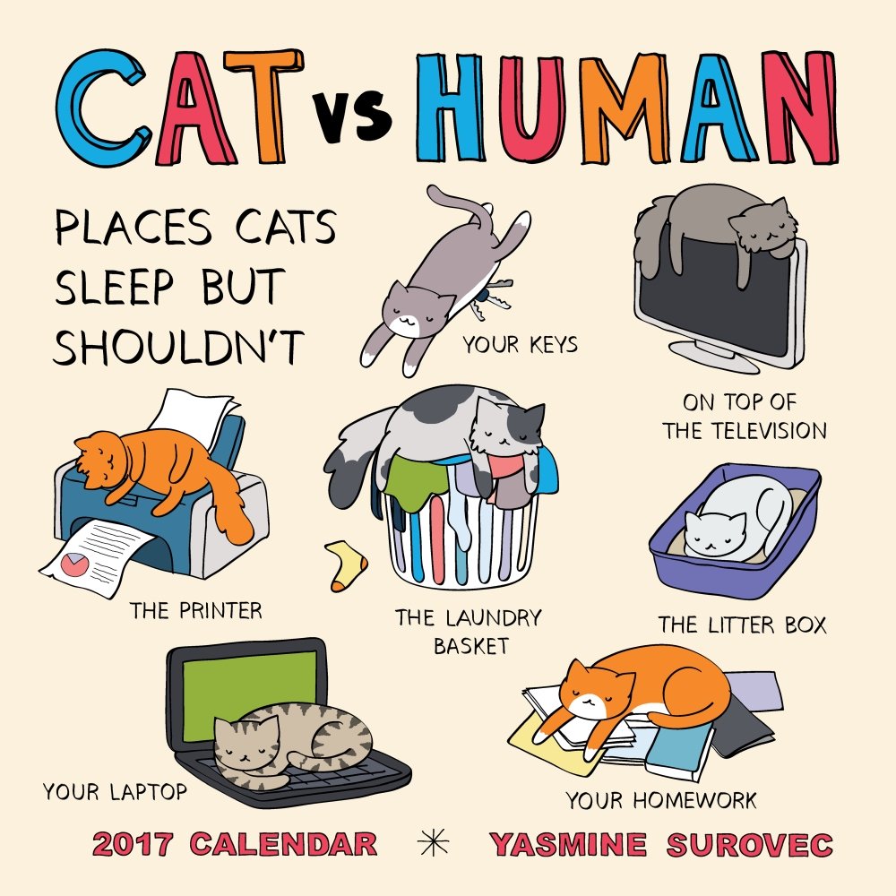 CrayCrayKitties's tweet photo. #CatsvsHumans #CrazyCatLady #Cats #Kitties #Kittens #FluffyKitties #CrayCrazy #CatPerson #2017Calendar #PlacesCatsSleep #YasmineSurovec https://t.co/PsgnwGukGk
