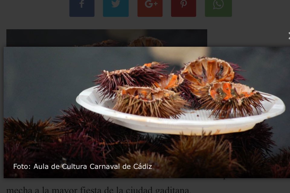 Ya tenemos fecha para la eriza de cadiz,22 de enero <a href="/BUSNAVARRO/">F.NAVARRO</a> os lleva como cada año. Os mantendremos informado.