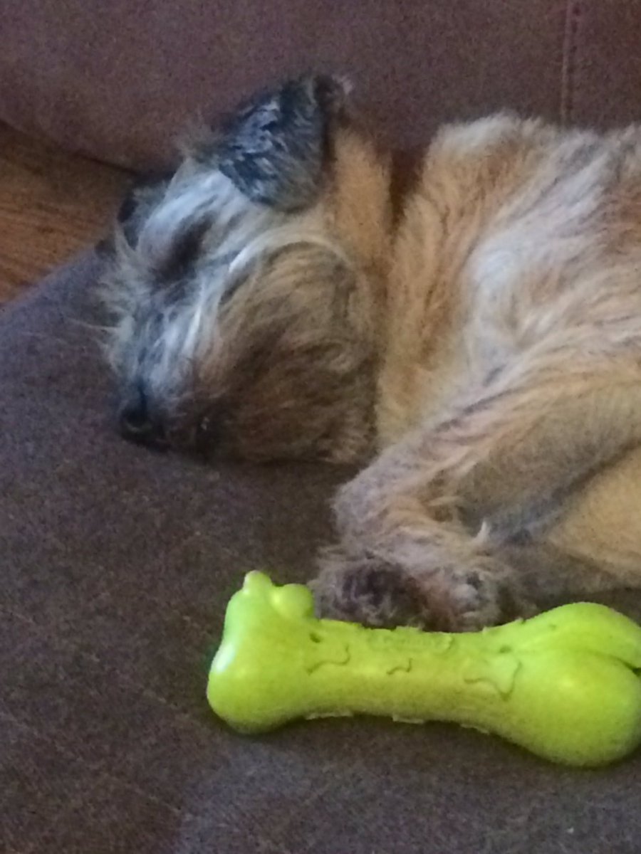 HenryBorderT's tweet image. It's all been a bit too much and too exciting!