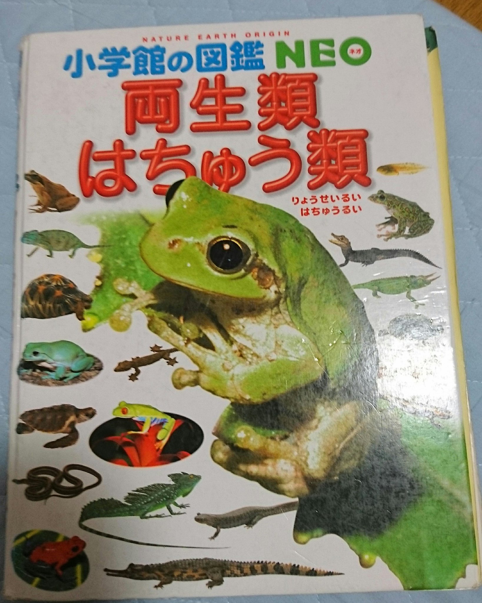 توییتر 木津羽里 در توییتر 小学舘の図鑑ｎｅｏ他 21世紀こども百科の宇宙館は愛読していました 確か出版された時すぐ買ったと思います 01年だから15 6年前 宇宙から地球の歴史まで幅広く解説されており 地球科学の基礎知識を養いました T Co Ye2mz3wgj5