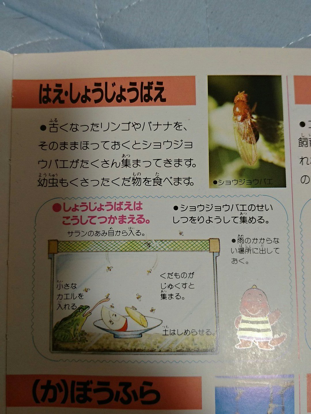 تويتر 木津羽里 على تويتر 小学舘の図鑑ｎｅｏ他 21世紀こども百科の宇宙館は愛読していました 確か出版された時すぐ買ったと思います 01年だから15 6年前 宇宙から地球の歴史まで幅広く解説されており 地球科学の基礎知識を養いました T Co Ye2mz3wgj5