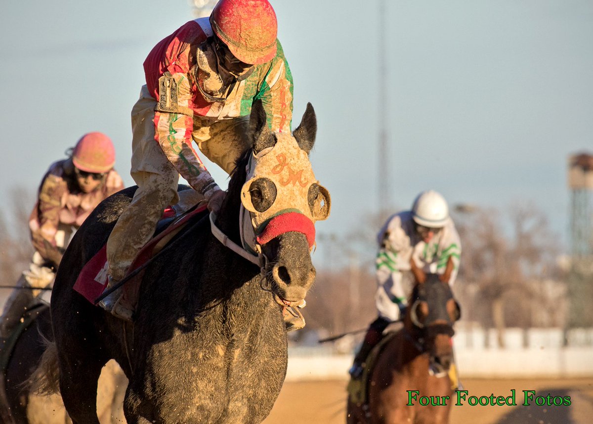 nmariephoto's tweet image. Muddy Nicholas Meza &amp;amp; EXCHANGING BLOWS after winning today @ClubHawthorne #fastediting