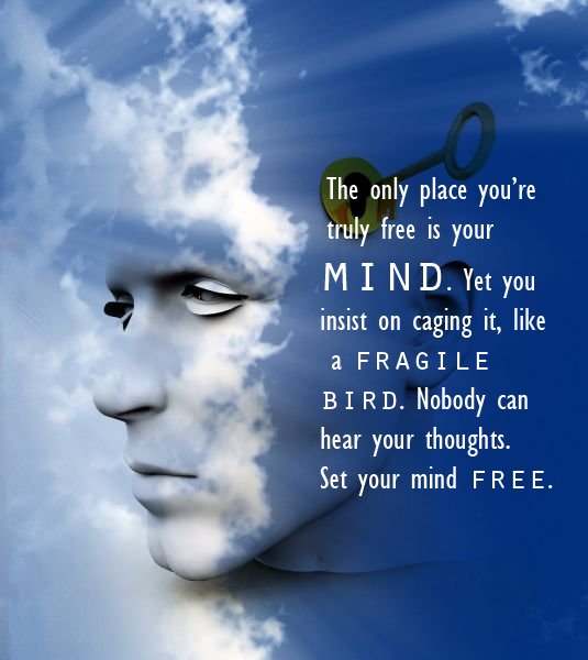 I am no bird, no net or cage ensnares me.