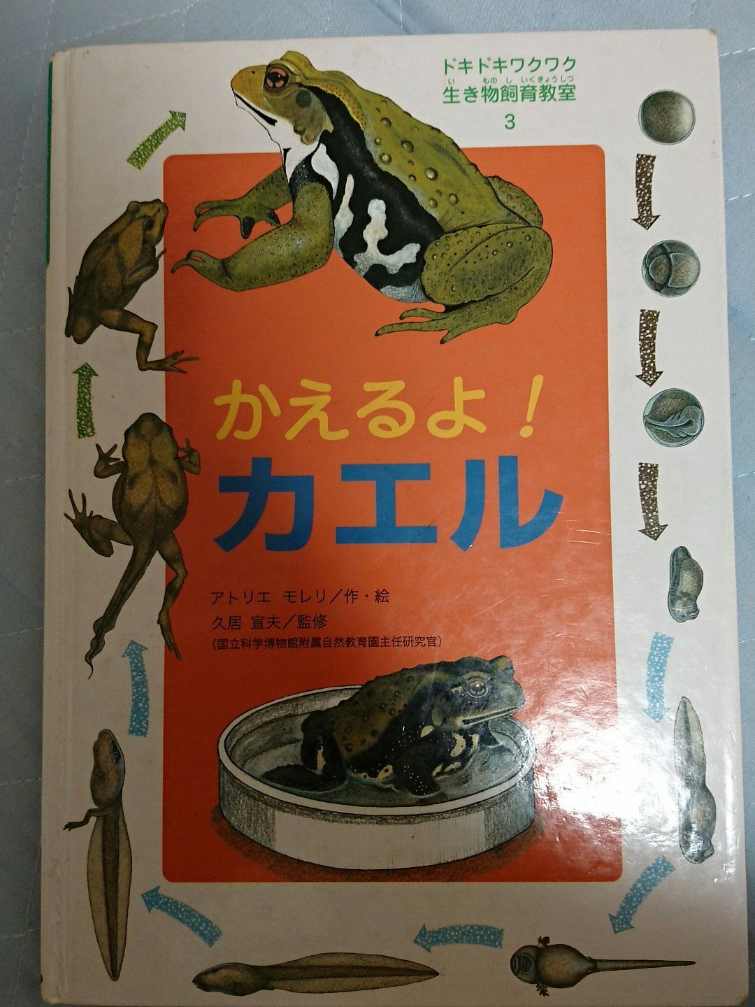 توییتر 木津羽里 در توییتر 小学舘の図鑑ｎｅｏ他 21世紀こども百科の宇宙館は愛読していました 確か出版された時すぐ買ったと思います 01年だから15 6年前 宇宙から地球の歴史まで幅広く解説されており 地球科学の基礎知識を養いました T Co Ye2mz3wgj5